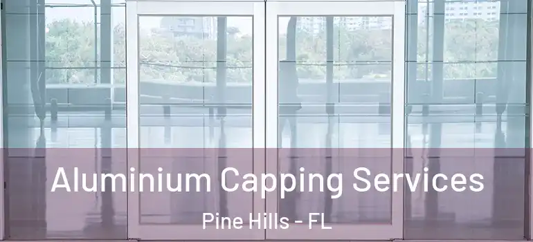  Aluminium Capping Services Pine Hills - FL