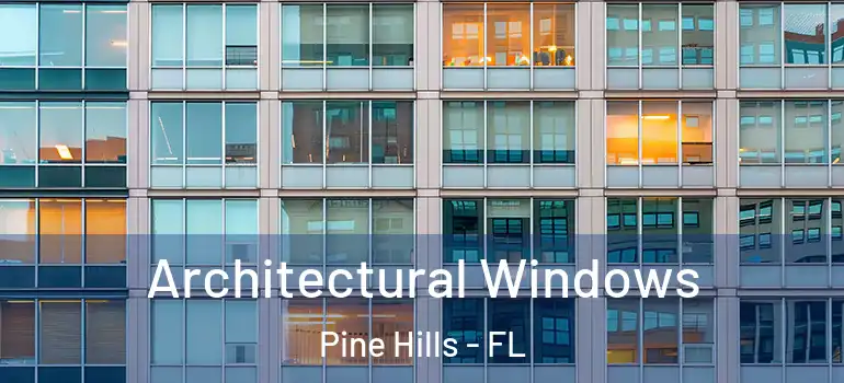  Architectural Windows Pine Hills - FL