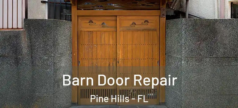  Barn Door Repair Pine Hills - FL