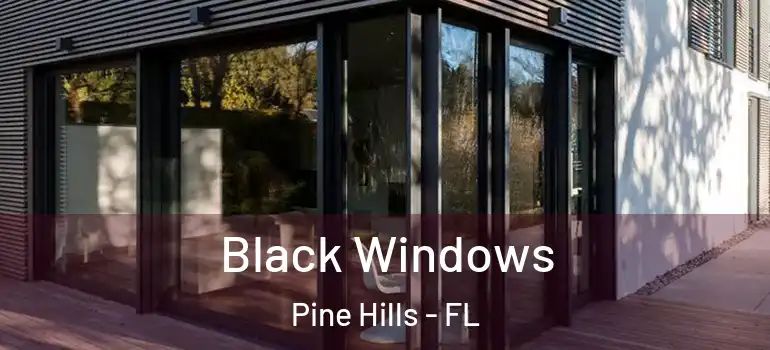  Black Windows Pine Hills - FL