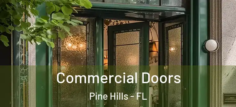  Commercial Doors Pine Hills - FL