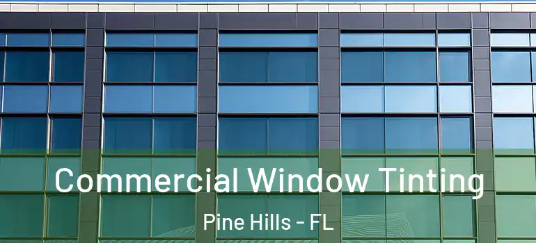  Commercial Window Tinting Pine Hills - FL