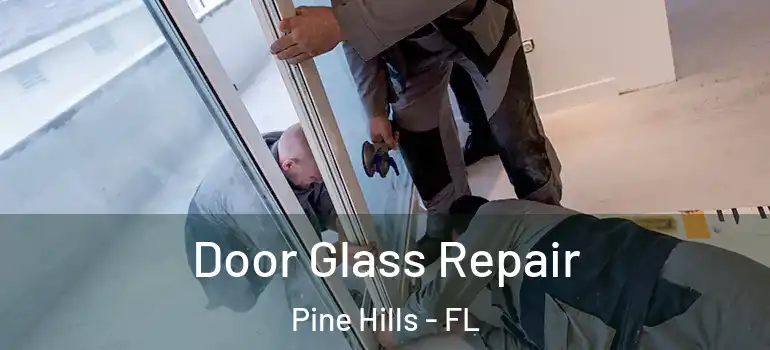  Door Glass Repair Pine Hills - FL