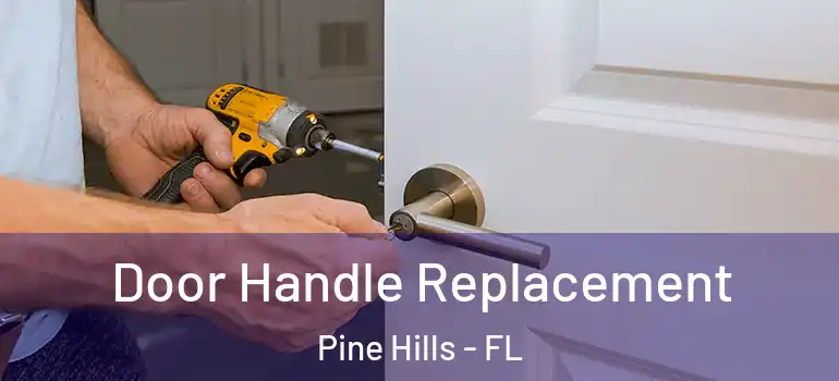  Door Handle Replacement Pine Hills - FL