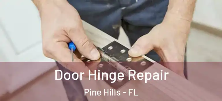 Door Hinge Repair Pine Hills - FL