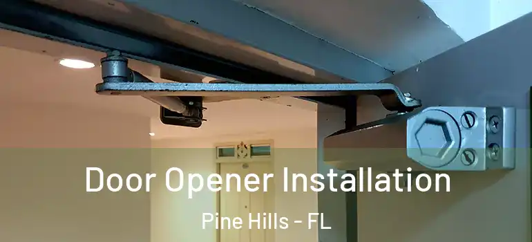  Door Opener Installation Pine Hills - FL