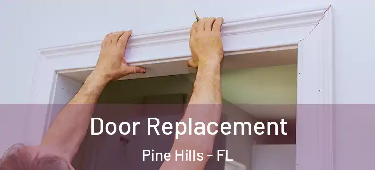  Door Replacement Pine Hills - FL