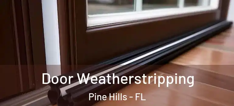  Door Weatherstripping Pine Hills - FL