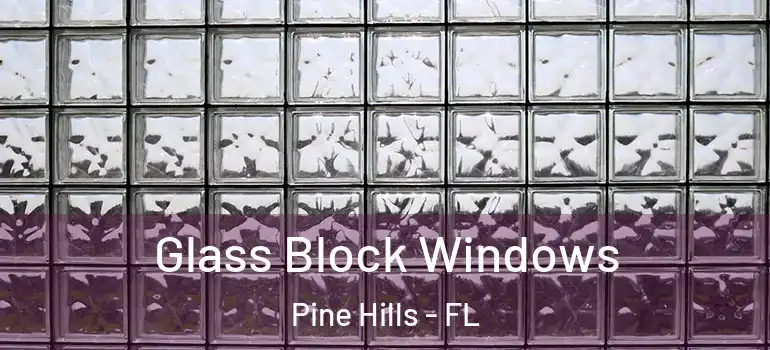  Glass Block Windows Pine Hills - FL
