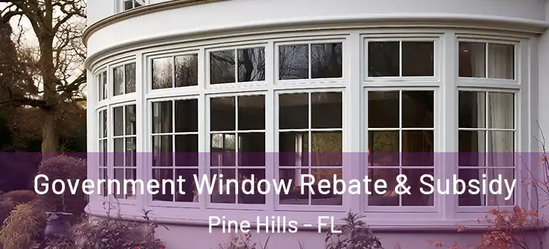  Government Window Rebate & Subsidy Pine Hills - FL