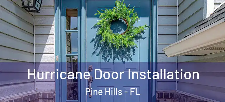  Hurricane Door Installation Pine Hills - FL
