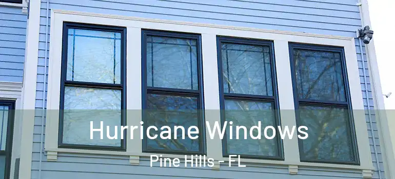  Hurricane Windows Pine Hills - FL