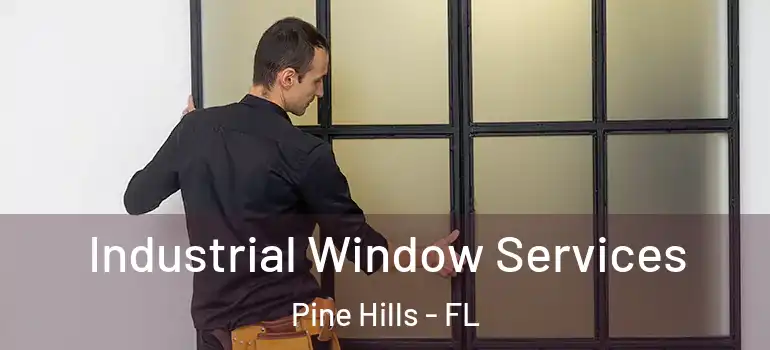  Industrial Window Services Pine Hills - FL