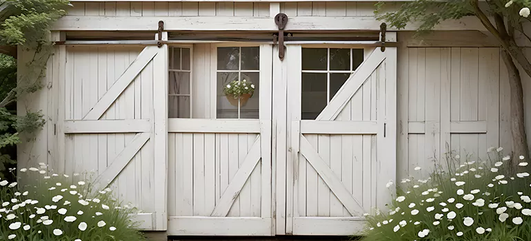Rear Barn Door Repair in Pine Hills, FL