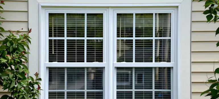 Custom Double Hung Windows in Pine Hills, FL