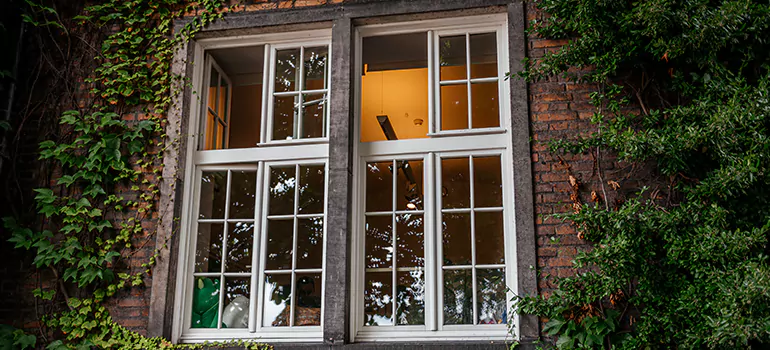 Energy Efficient Wood Windows in Pine Hills, FL