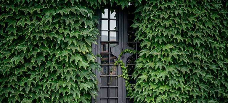 Garden Gate Repair in Pine Hills, FL