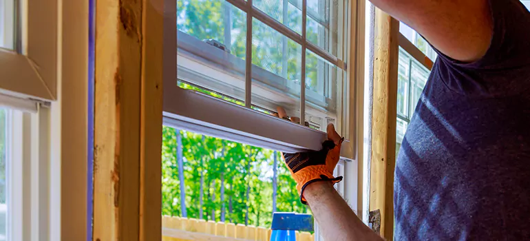 Decorative Window Film Services in Pine Hills, FL