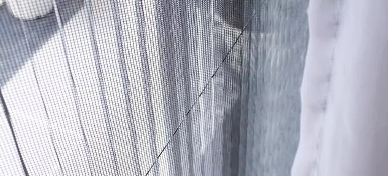 Fixing Screen Window Mesh in Pine Hills, FL