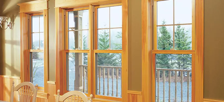 Government Incentives For Replacement Windows in Pine Hills, FL
