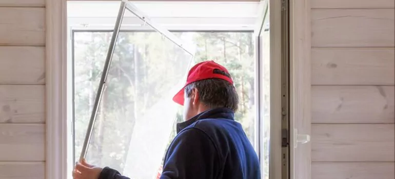 Expandable Window Screen Installation in Pine Hills, FL