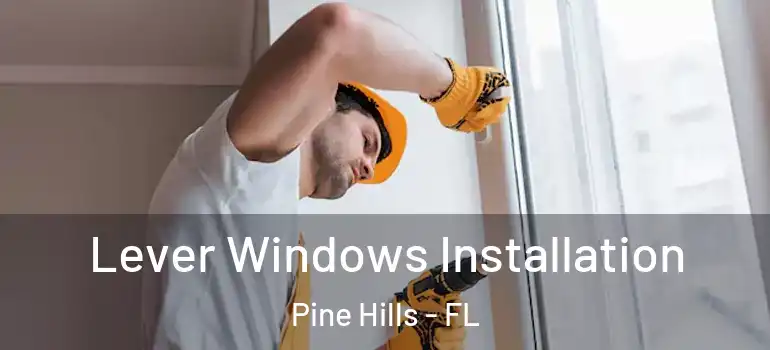  Lever Windows Installation Pine Hills - FL