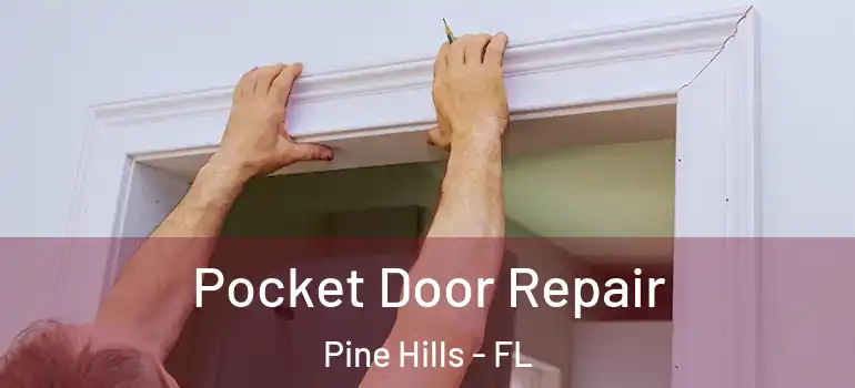  Pocket Door Repair Pine Hills - FL