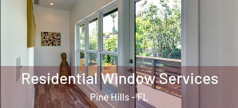  Residential Window Services Pine Hills - FL