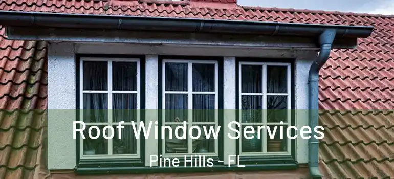  Roof Window Services Pine Hills - FL