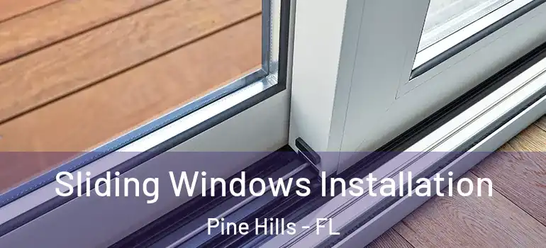  Sliding Windows Installation Pine Hills - FL