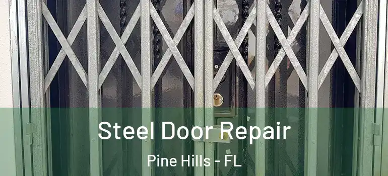  Steel Door Repair Pine Hills - FL