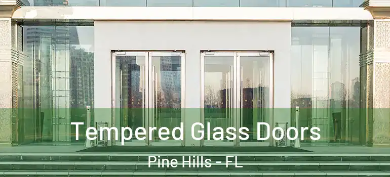  Tempered Glass Doors Pine Hills - FL