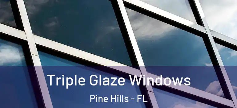  Triple Glaze Windows Pine Hills - FL