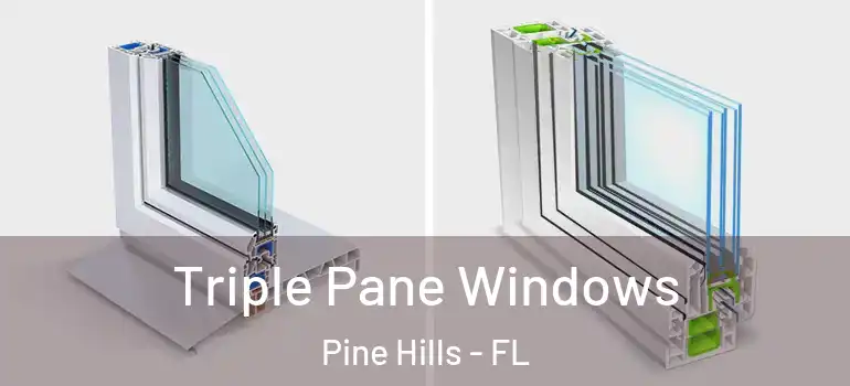  Triple Pane Windows Pine Hills - FL
