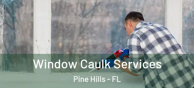  Window Caulk Services Pine Hills - FL