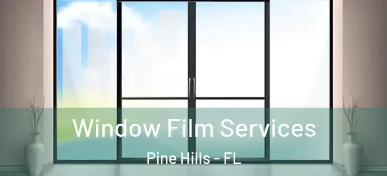  Window Film Services Pine Hills - FL