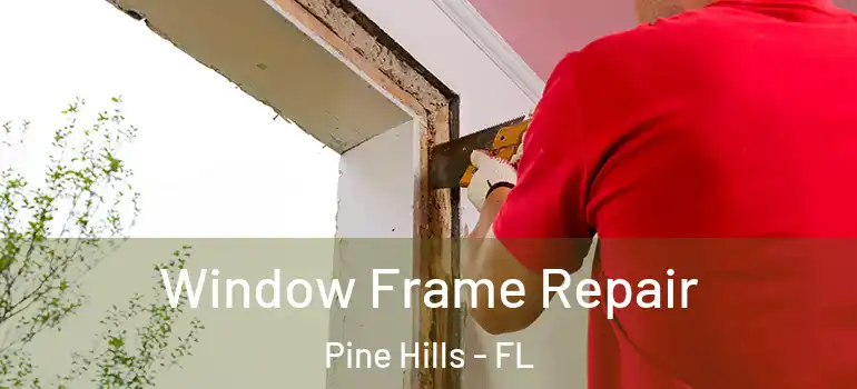  Window Frame Repair Pine Hills - FL