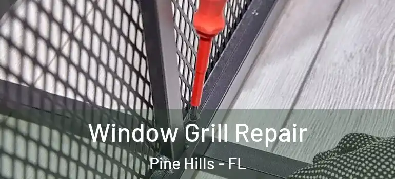  Window Grill Repair Pine Hills - FL