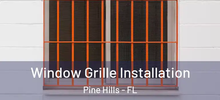  Window Grille Installation Pine Hills - FL