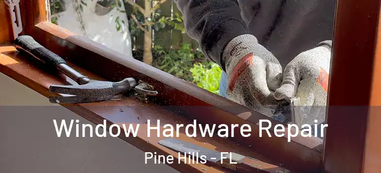  Window Hardware Repair Pine Hills - FL