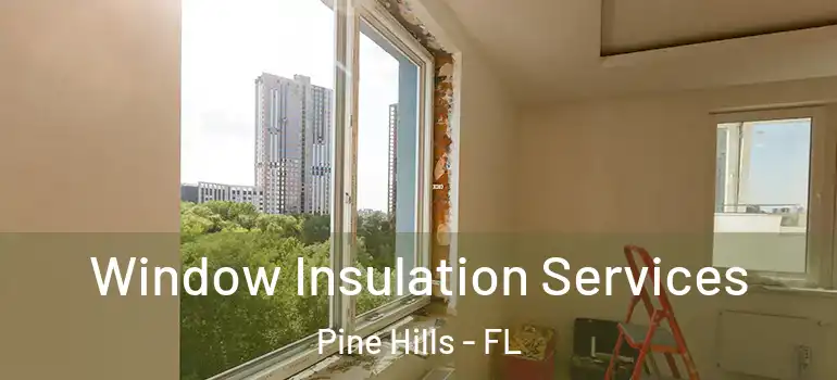  Window Insulation Services Pine Hills - FL