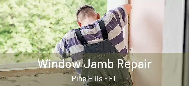  Window Jamb Repair Pine Hills - FL