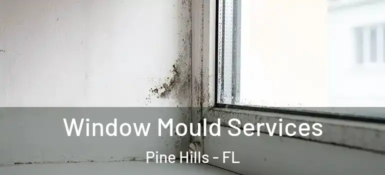 Window Mould Services Pine Hills - FL