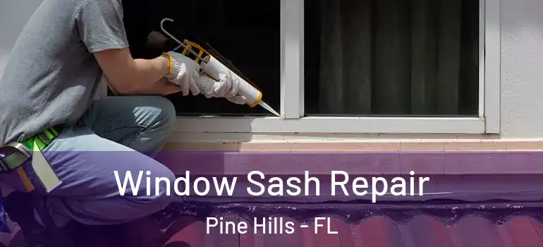  Window Sash Repair Pine Hills - FL