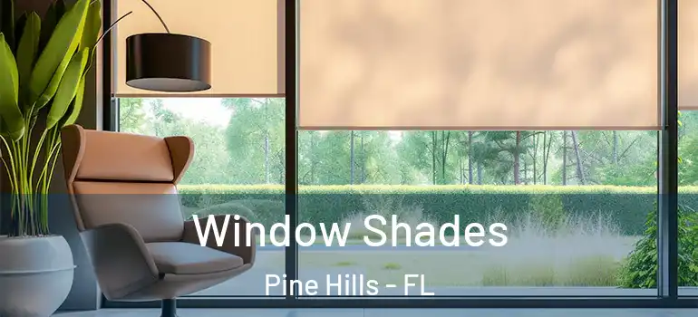  Window Shades Pine Hills - FL