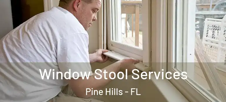  Window Stool Services Pine Hills - FL