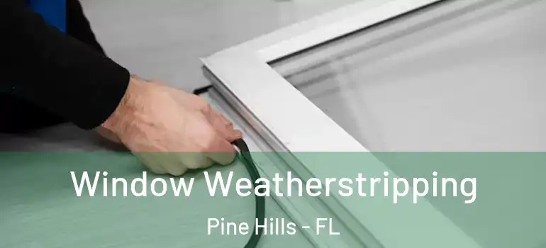  Window Weatherstripping Pine Hills - FL